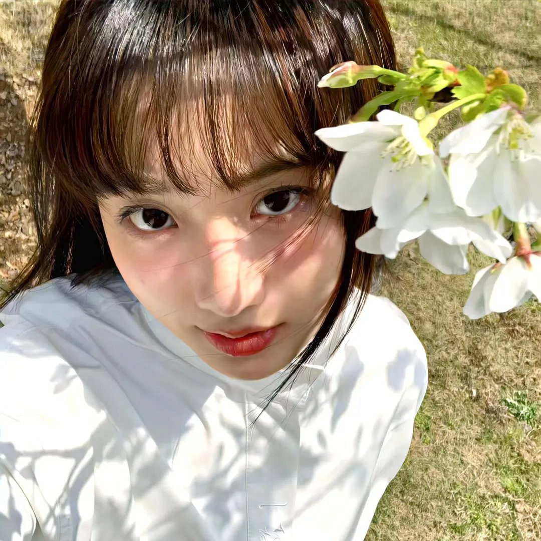 火舞风云